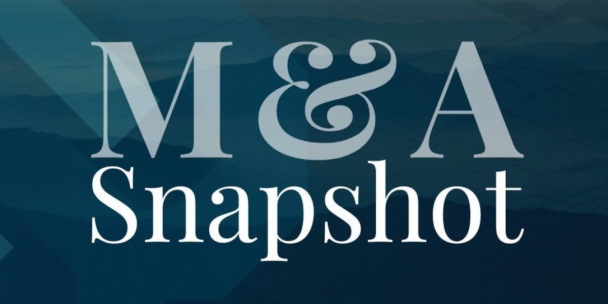 M & A Snapshot (2)